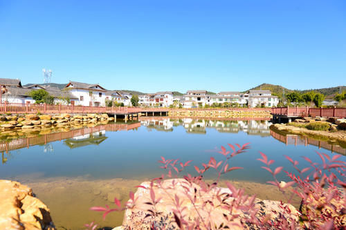 沙坝仔村没坝，但有神农，是城里人向往的村落