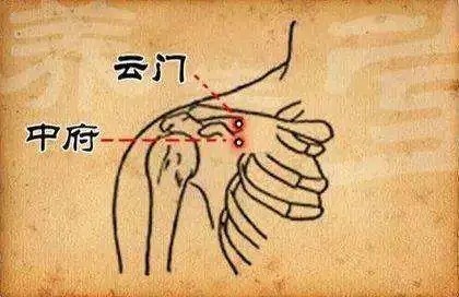 肺经|想要秋天少生病,一定要拍打此处,大病小病它都管