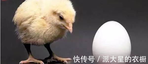 方铅矿|先有鸡还是先有蛋?问题终于被正式解答了告诉你九个有趣的冷知识