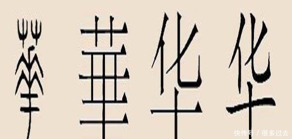 历史|中国历史上“华夏”里的夏是指夏朝,那“华”指的是什么意思呢?