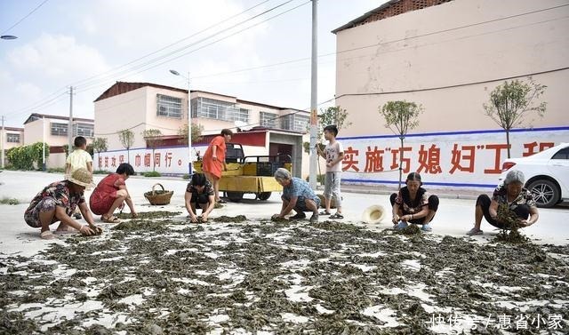 农村常晒的6种过冬菜,小时候常吃,现在想吃要高价买,你吃过吗