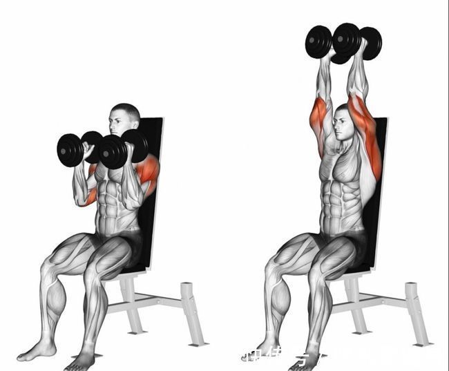 坐姿|斜方肌怎么练成直角肩？做好6个动作，轻松消除斜方肌提升气质