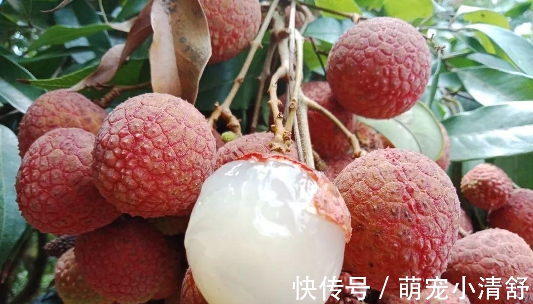 葡萄|要减肥,建议别吃这4种水果,含糖量极高,比油炸食品还容易长胖