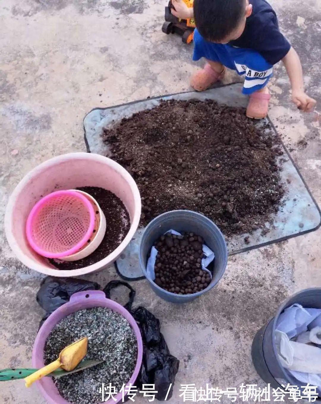 养花|养花技巧:花盆里出现这个,抓紧换盆,不然一浇水就死翘翘