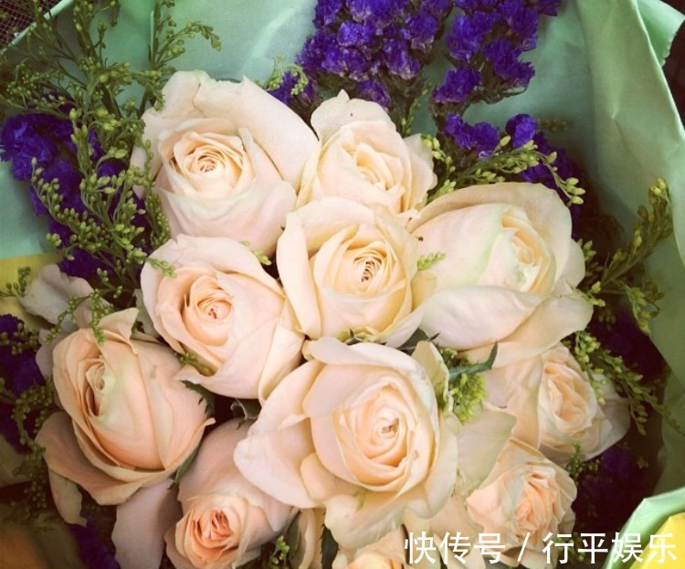 阳台养这1种花卉,一年四季都很勤劳地开花,和“玫瑰”一样美丽