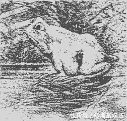 答对|6张老年痴呆测试图,全答对说明离痴呆很远,家中老人的速测!