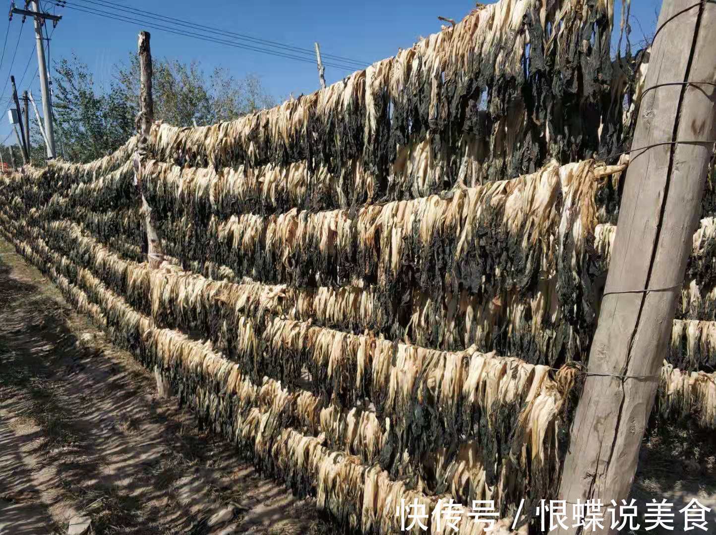 5种快过季的蔬菜，晒干后比新鲜的还好吃，留着过冬给肉都不换