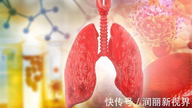 健康长寿|五十岁以后,保护这几个器官,做好这几件事,长寿可能会伴随你