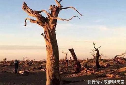 生死|诲人不倦的孔子和释迦牟尼,为何都避答道、鬼神、生死这类问题