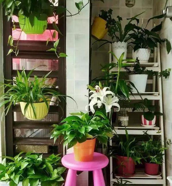 两兄弟|参观小叔子新房,看得我鼻头发酸,同样是两兄弟,差距怎么这么大