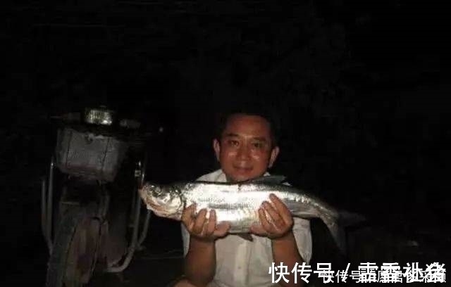 介绍一种万峰湖当地人钓翘嘴鱼的独特方法