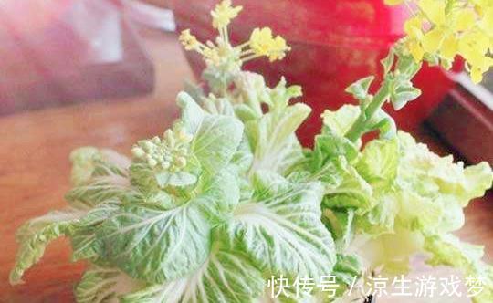 根系|9种蔬菜根别扔掉,15天变盆景,吃不完就留着欣赏