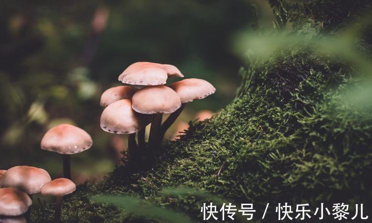 星座|交往难度很高，很难对人敞开心扉的星座，习惯了自我隐藏心事