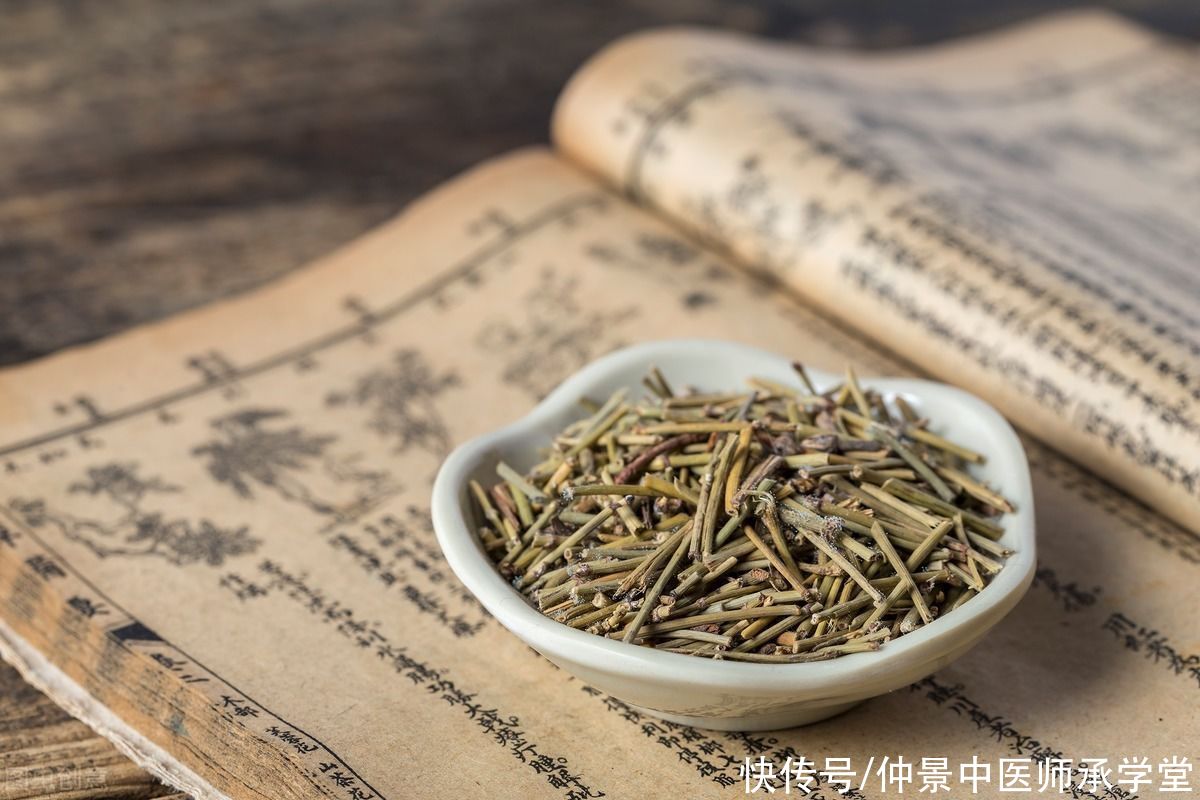 麻黄|通过脉象辩证用药第一讲：麻黄