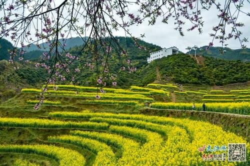 踏青赏花海 “江西最美油菜花”网络投票评选活动火热进行中