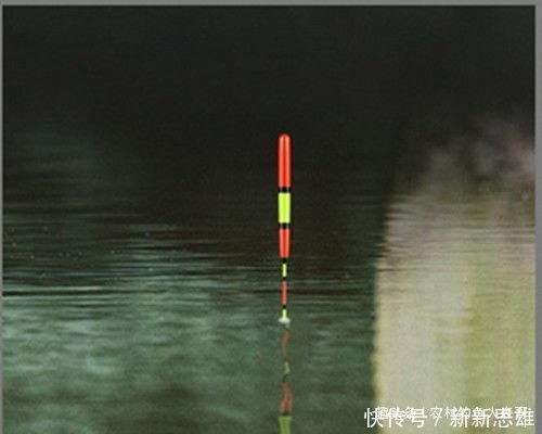 调漂|用加粗尾浮漂野钓，调漂不对难上鱼，老钓友解析加粗尾的调钓方法