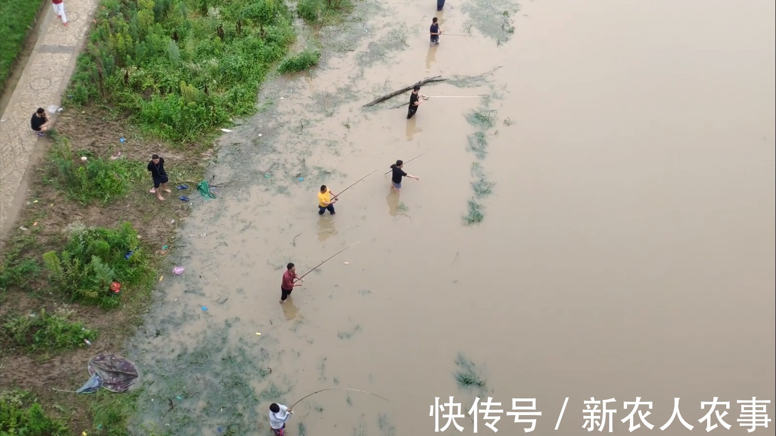 网友们|安徽一河道鱼儿大爆发，有人一天钓起数百斤，网友们见后怒了