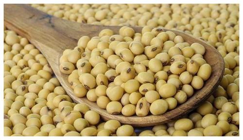 葡萄干|来“姨妈”时，别错过这4样食物！排污血护卵巢，让女人更年轻！