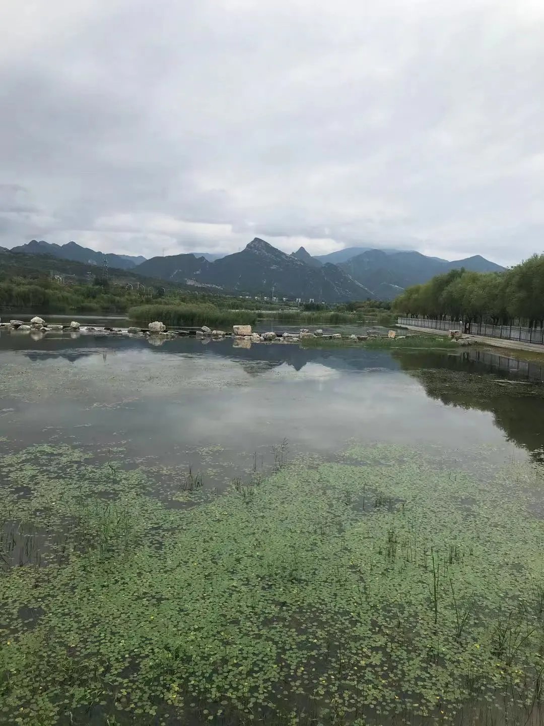 彩霞|彩霞与烟雨同在，仰望无限风光！