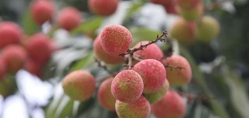 肝气郁滞|查出子宫肌瘤别怕忌口2物，戒掉3习，多吃4物，活血化瘀消肌瘤