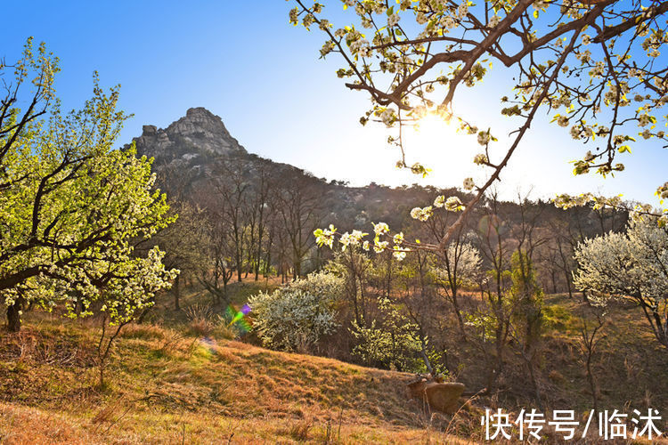 情定三生|美丽的苍马山