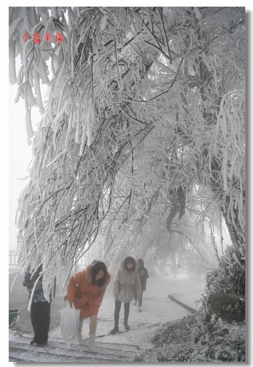 铅山|铅山葛仙山白雪皑皑，犹如冰雪童话世界