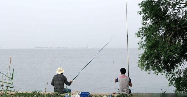 教你4招“风天钓鱼法”,鱼上得比平时还快,往后钓鱼无风不欢了
