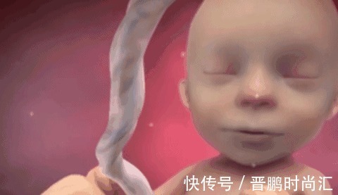 肚子|除了睡觉,胎儿在妈妈肚子里干啥呢?每个妈妈都应该看看