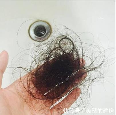 马桶堵塞何必次次花100元？公公用一盆泥鳅几分钟就搞定啦！