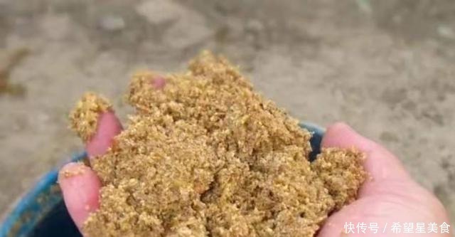 钓法|这3招果然够狠！杂鱼不闹中鱼率高，用过的人绝非泛泛之辈！