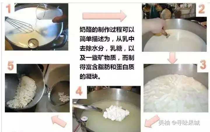 外国人常吃的“芝士”到底是什么?原名如此质朴,吃货们都知道吗