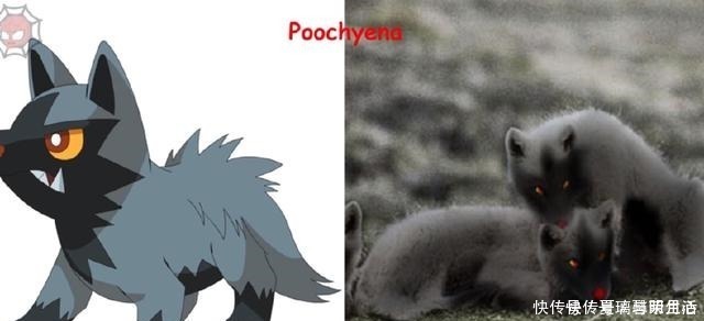 火系|“真实版”的神奇宝贝,看到裂空座,我发出了杀猪般的笑声