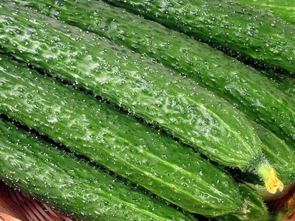 维生素c|一根黄瓜,一家四口全住院,吃黄瓜必须避开的4个禁忌!