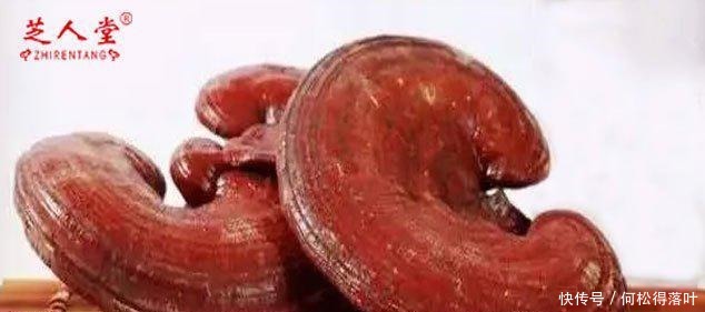 灵芝有哪些成分,新鲜的灵芝如何保存、服用