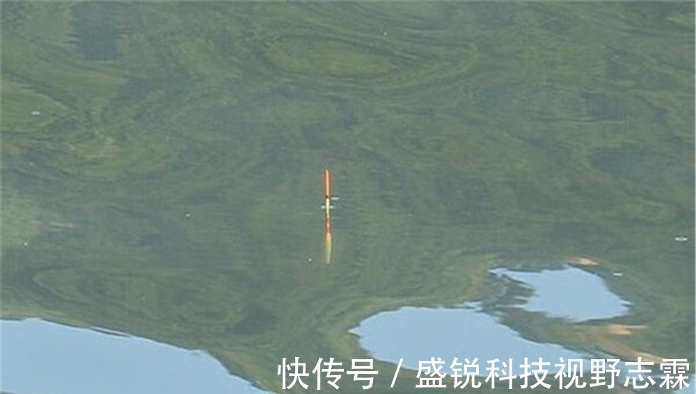 灵钝|调漂技巧:常见漂相主要顶漂和顿口,如何调漂,能让顿口更清晰?