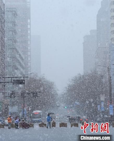 赵阳|浙江杭州迎大雪天 已启动抗雪防冻应急响应