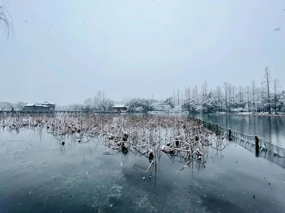 雨雪|此刻的杭州，太美了吧！