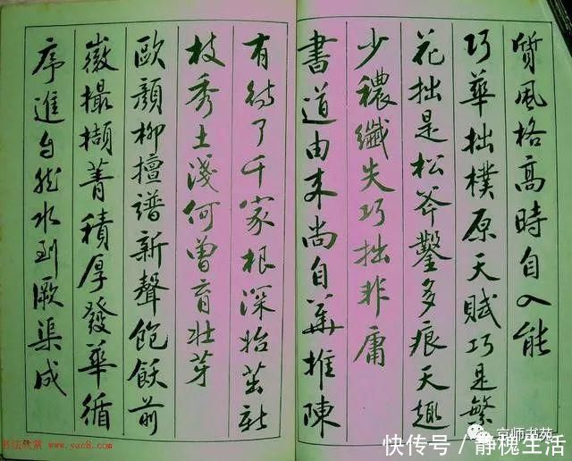行书|青少年行书《廖蕴玉著并书论书七绝句一百首》