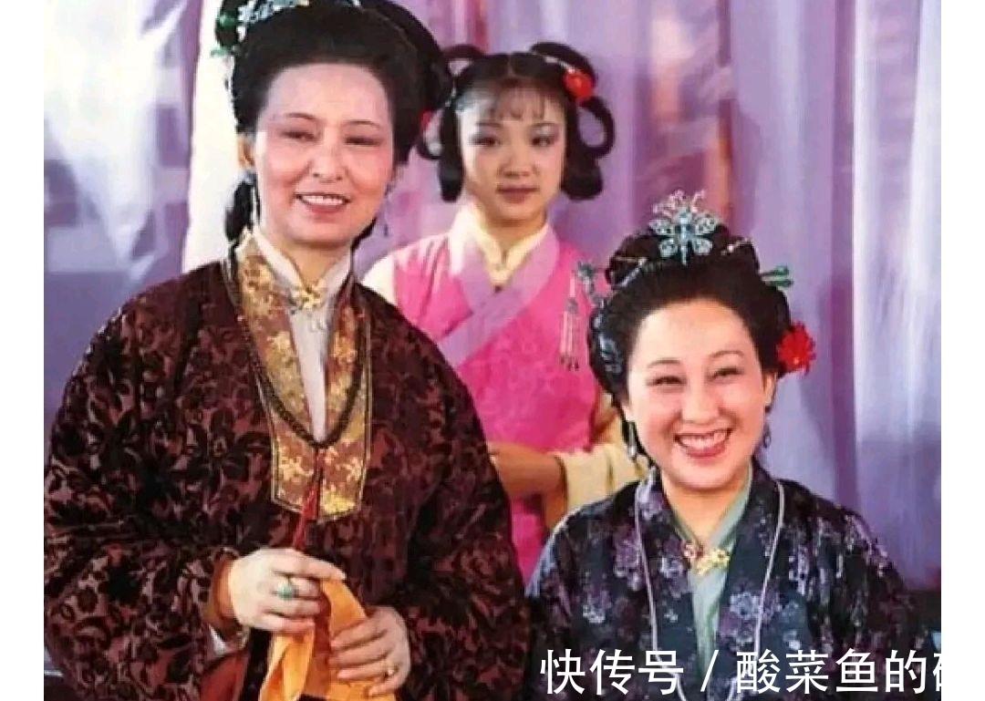 四大家族!愚蠢自私的薛姨妈,毁了薛蟠宝钗,毁了侄子侄女,毁了整个薛家