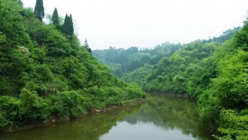 弹簧|手竿如何垂钓大头鱼，重点就是饵要轻雾化好，我从四个方面说明
