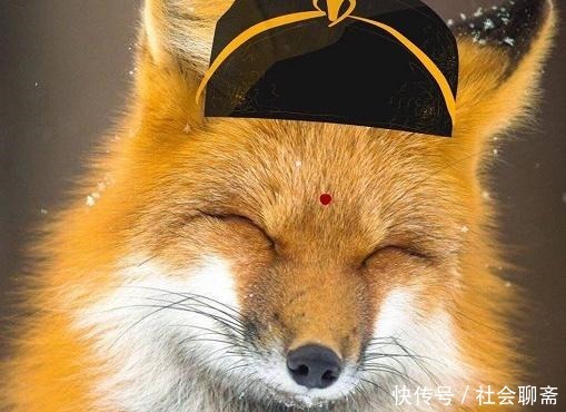 小温|《魔道祖师》官微福利,笑面狐狸金光瑶,“橘里橘气”小温宁