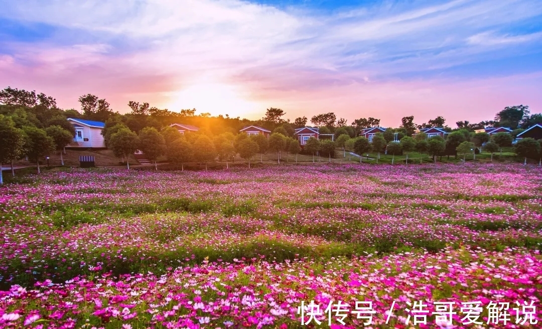 花朝河湾|新洲好玩的景点不少，为什么没多少人去新洲玩？