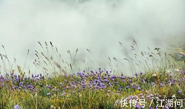 探险家|人有三欲,过之易灾(深度好文)