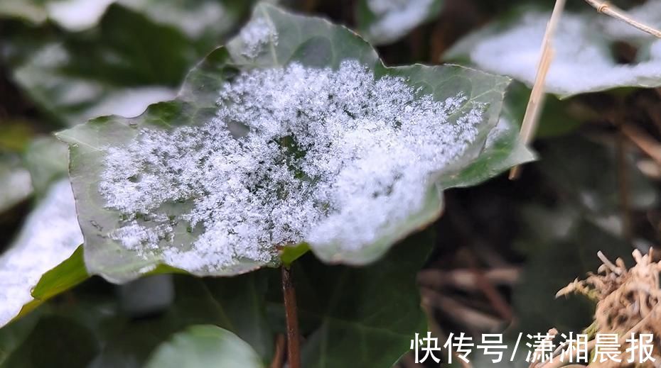 小雪初晴|小雪节气，张家界天门山现初雪身影