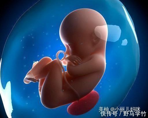宝宝|怀孕后,若孕妈妈有3个“特殊”表现,说明孩子是个“聪明娃”