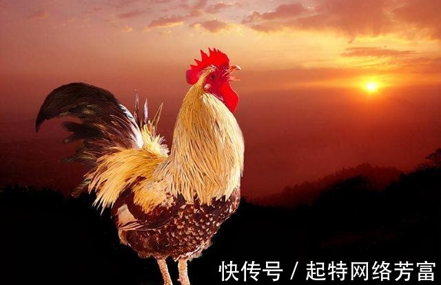 低谷|人在低谷时,参透《增广贤文》4个金句,帮你保住最后一份尊严