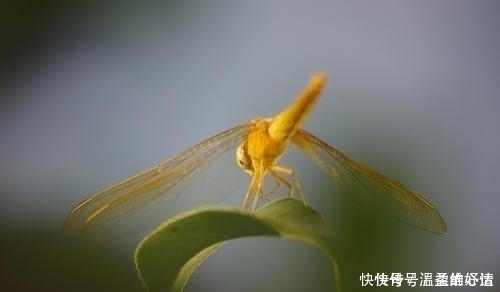 吉星|孩子出生在几点钟，命好最有出息，孝顺父母，个个天资聪颖