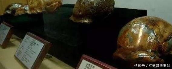 阿波丸|二战时“阿波丸号”上的日本人为何“集体自杀”?