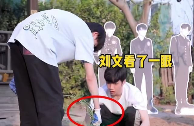 劉耀文|宋亞軒悄悄拔阿姨的蔥,劉耀文立馬告狀,說的話讓小宋不敢吃蔥