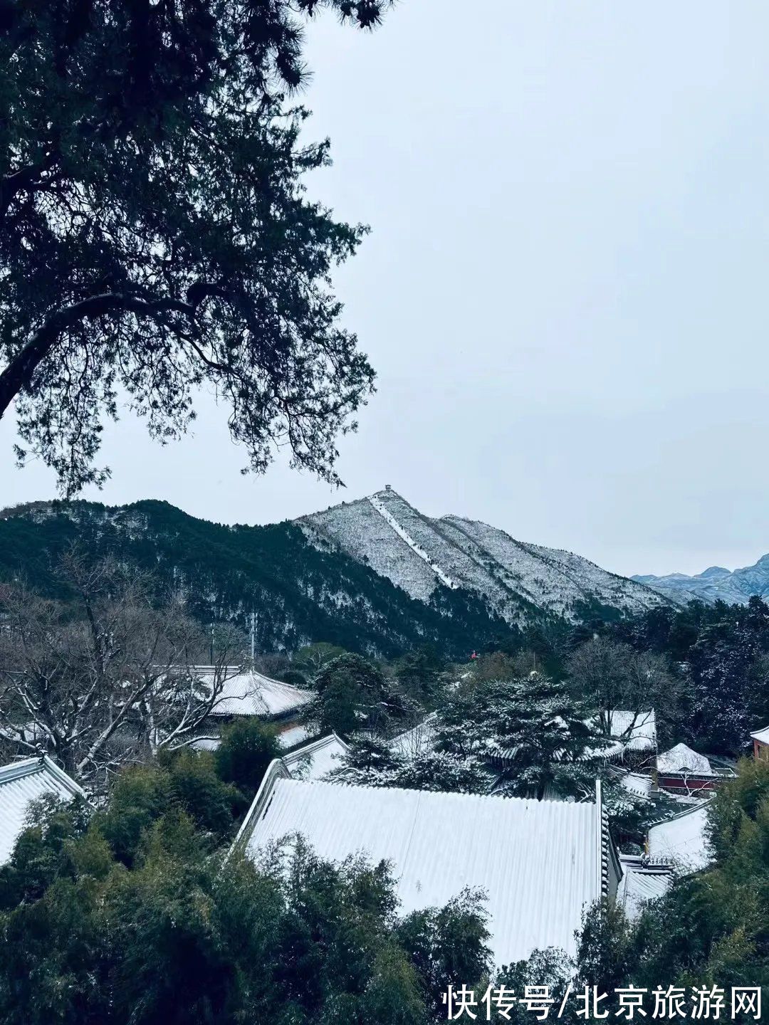 第一场雪|门城一夜雪，万山披银装！